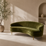 Luxury curved teak wood velvet sofa in modern living room